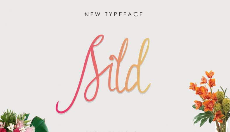 Sild Handwritten Font Free Download