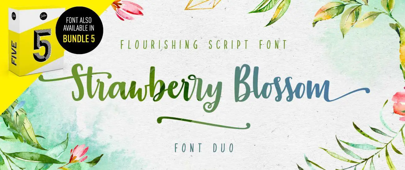 Strawberry Blossom Brush Font