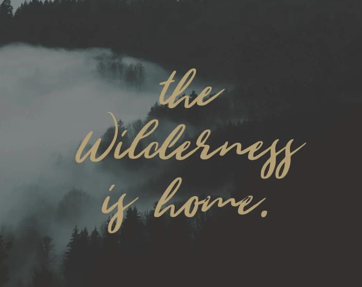 Wild Youth Font