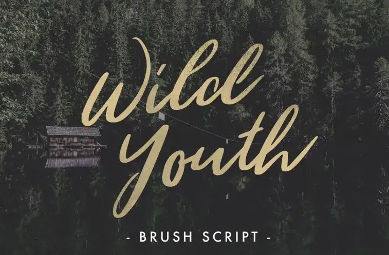 Wild Youth Font Free Download