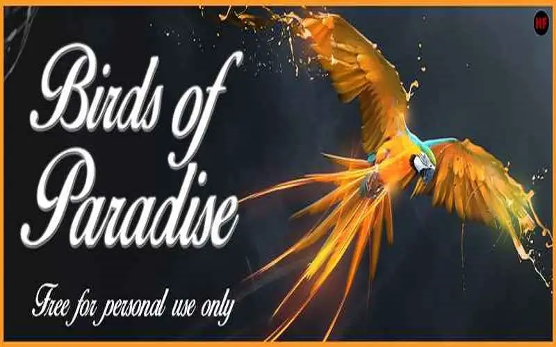 Birds of Paradise Font Free Download