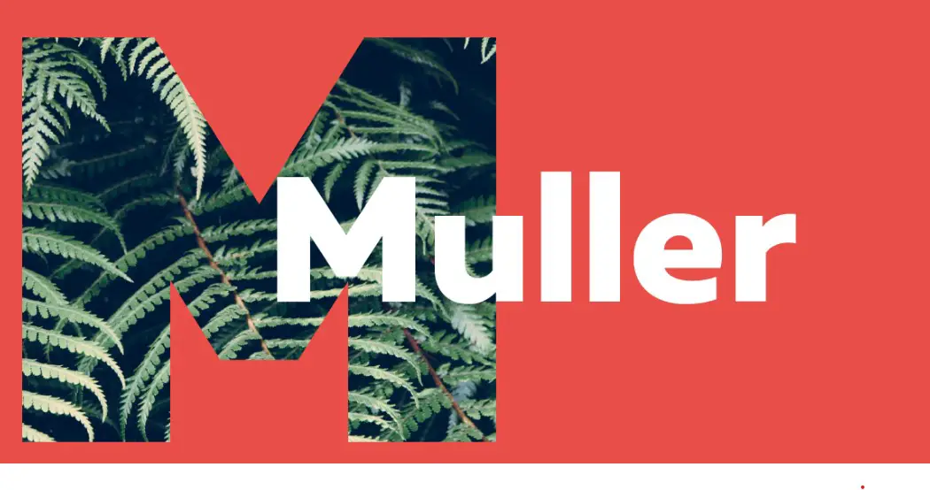 Muller Font Free Download