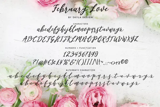 Flirty Feminine February Love Font