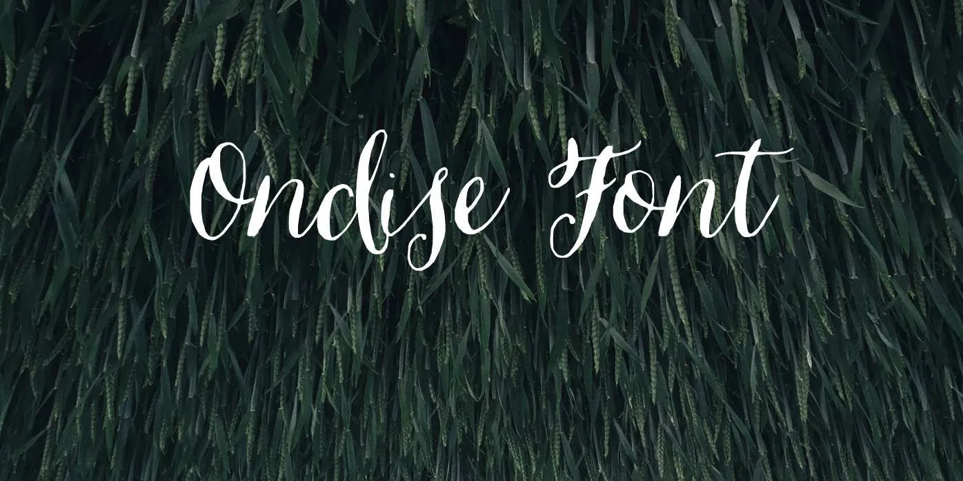 Ondise Font Free Download