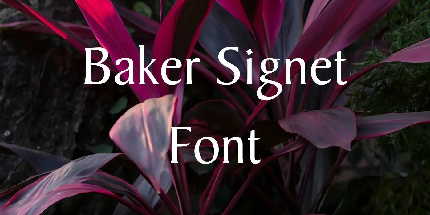 Baker Signet Font Free Download