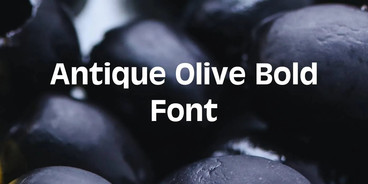 Antique Olive Bold Font Free Download