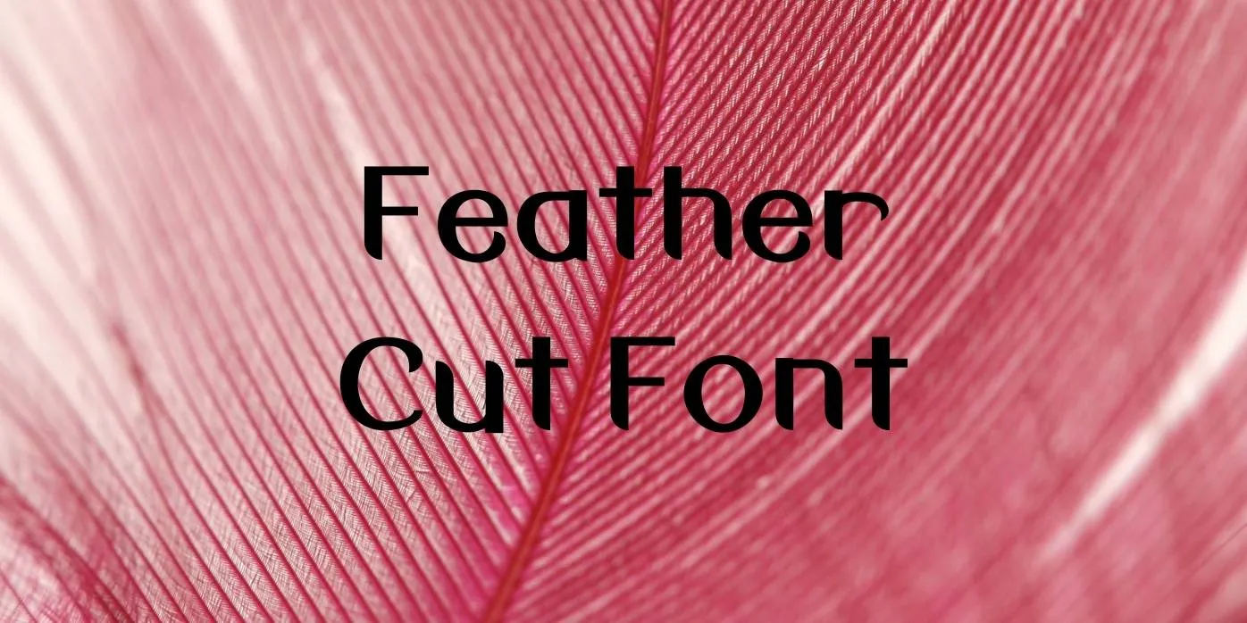 Feather Cut Font Free Download