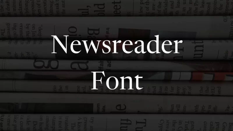 Newsreader Font Free Download