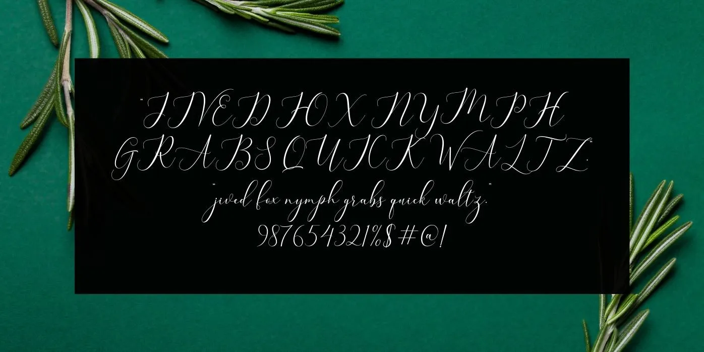 Bellisa Font View