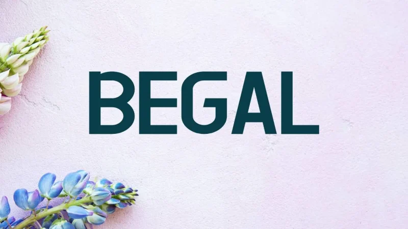 Begal Font Free Download