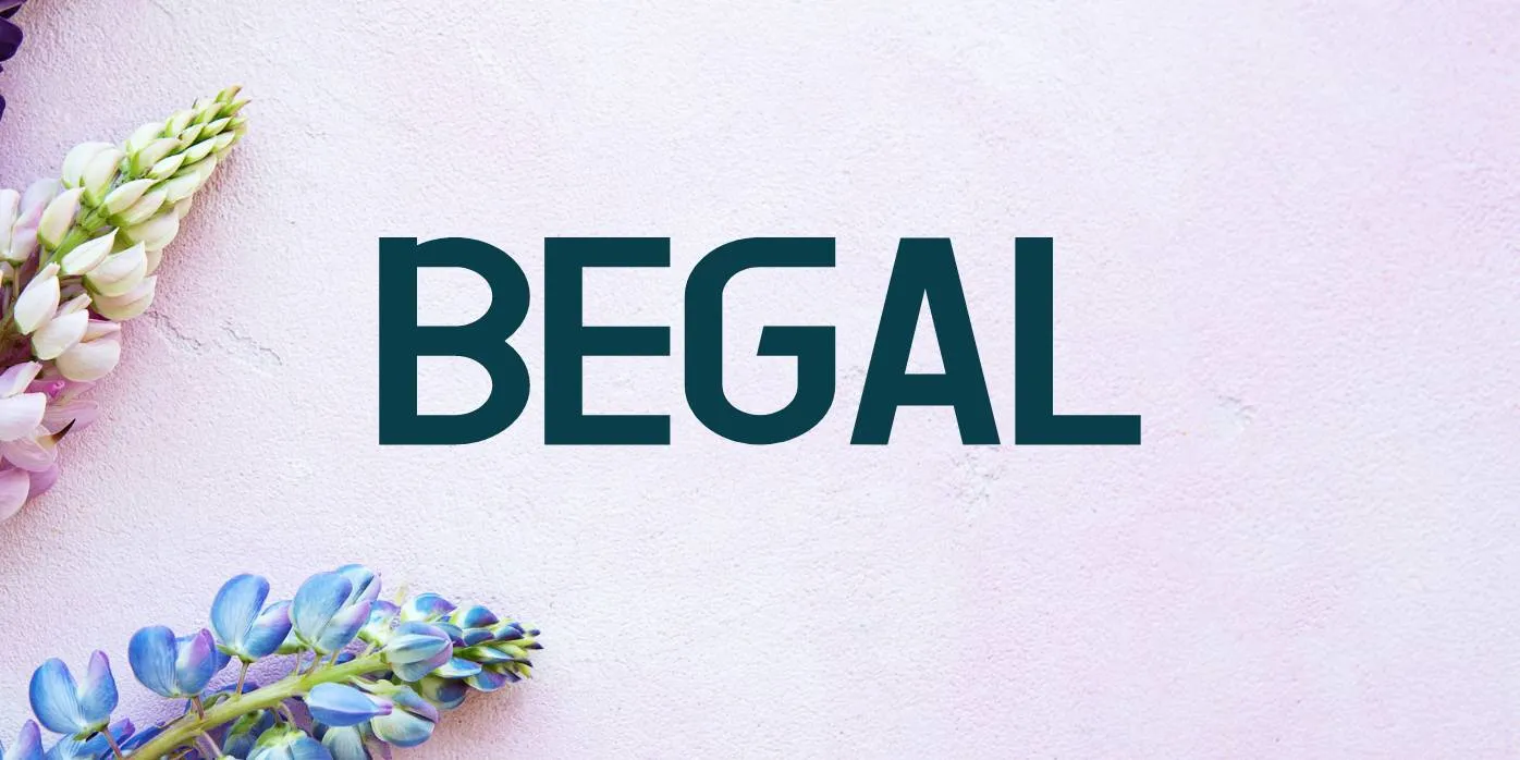 Begal Font Free Download