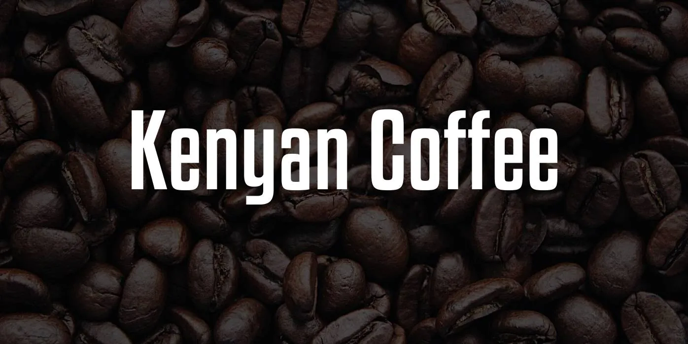 Kenyan Coffee Font Free Download