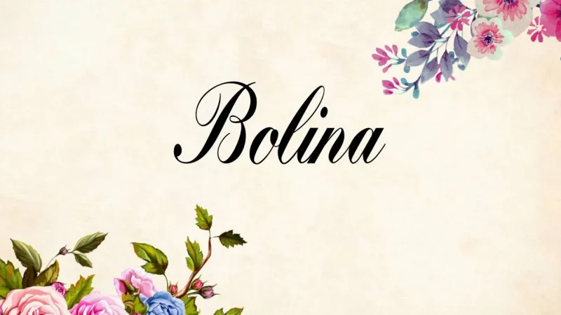 Bolina Font Free Download