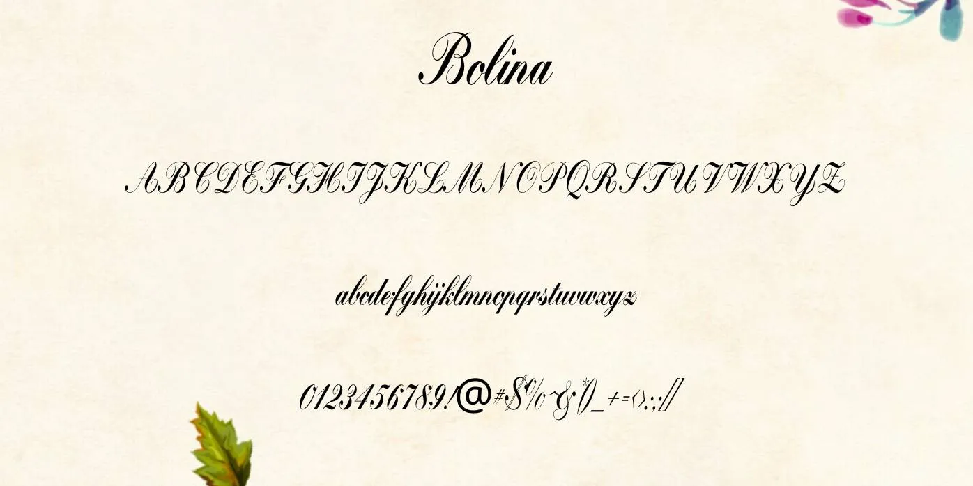 Bolina Font